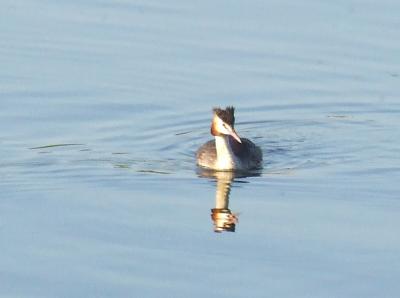 Прикрепленное изображение: 002.jpg